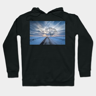 Snowy Tree and Road at Dawn Hoodie